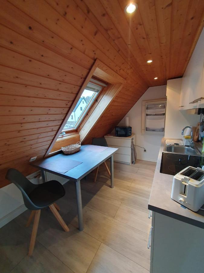 Ferienwohnung Haenel Antonshohe Bagian luar foto