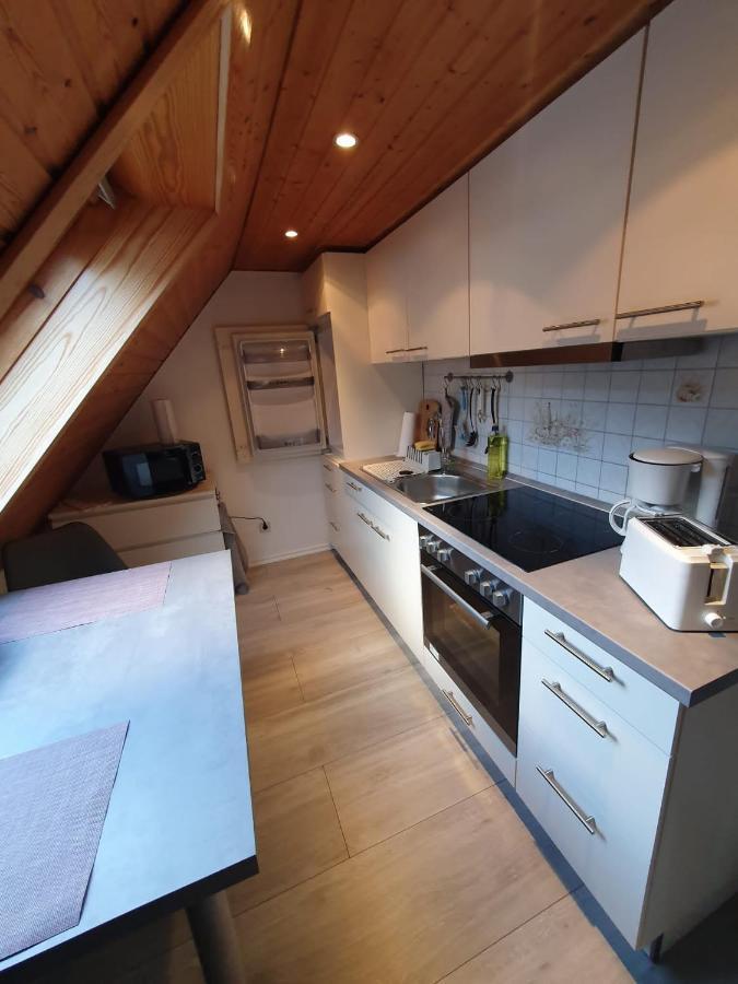 Ferienwohnung Haenel Antonshohe Bagian luar foto
