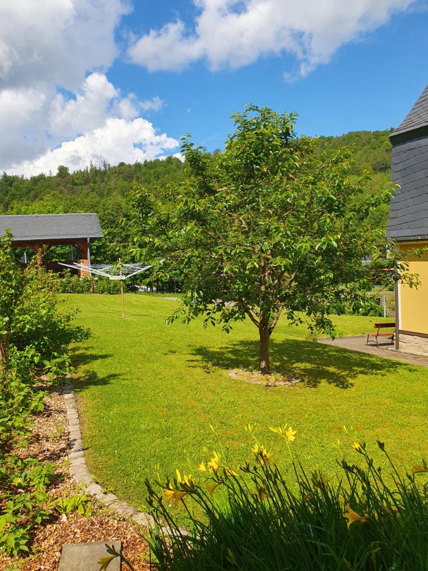 Ferienwohnung Haenel Antonshohe Bagian luar foto